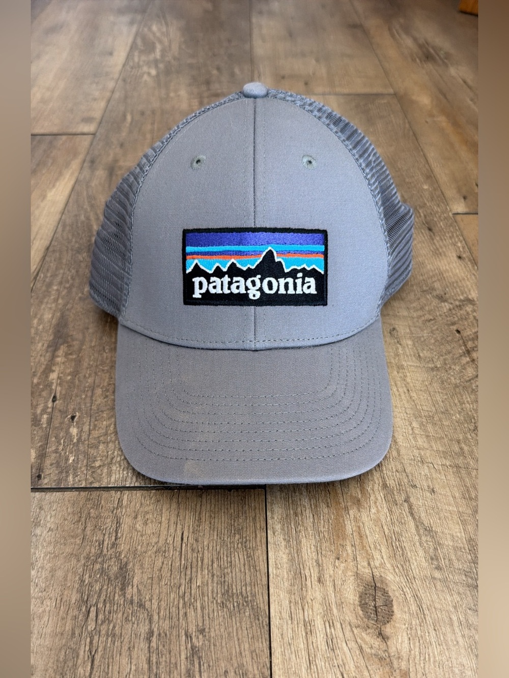 Patagonia Trucker Hat - Gray with Multicolor Logo